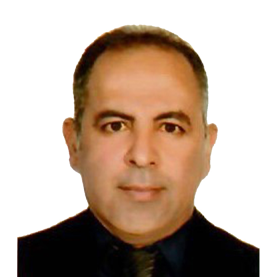 رضا محمدی